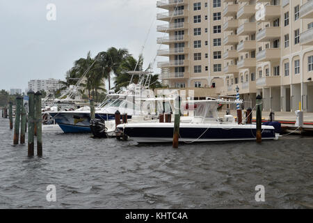 DAVIE, FL - SEPTEMBRE 09 : (COUVERTURE EXCLUSIVE) les effets de l'ouragan Irma de catégorie 5 extrême commencent à frapper la Floride, qui est la plus grande tempête de l'histoire des États-Unis. Des couvre-feux obligatoires sont émis dans le sud de la Floride alors que la région déblaie les routes avant l'ouragan Irma : 7 heures à Key Biscayne, 8 heures à North Miami Beach, 4 heures dans le comté de Broward, 7 heures dans la ville de Miami et 8 heures à Miami Beach. Key Biscayne a décrété un couvre-feu de 7 h à 7 h. le premier décès en Floride a été un homme Davie qui est tombé de son échelle en posant des volets le 9 septembre 2017 à fort Lauderdale, Floride PE Banque D'Images