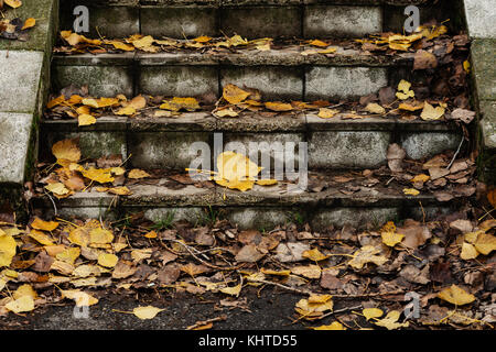 Ancien escalier en béton recouvert de feuilles d'automne Banque D'Images