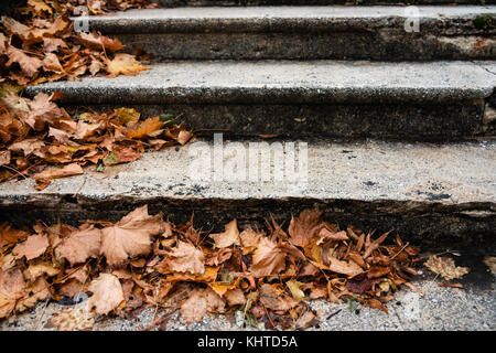 Ancien escalier en béton recouvert de feuilles d'automne Banque D'Images