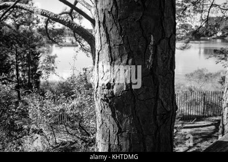 Vieux et de pneus Banque D'Images