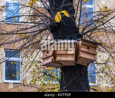 Berlin Schöneberg. Birdie Hotel, des nichoirs d'oiseaux dans un arbre, à une rue de la ville, une ville-amie des oiseaux Banque D'Images