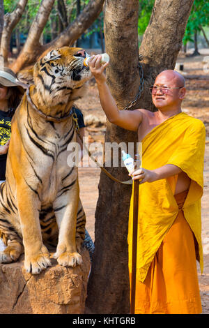 Tiger temple, Thaïlande Banque D'Images