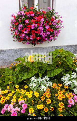 Géraniums fleuris sur fenêtre et parterre à fleurs, République tchèque Banque D'Images