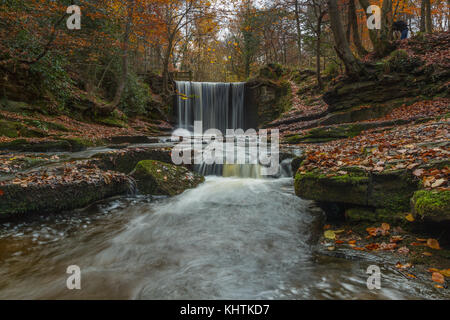 Couleurs d'automne dans les bois à nant mill, au Pays de Galles Banque D'Images