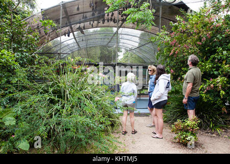 Hôpital Tolga Bat. Groupe de visite pédagogique. Septembre 2017. Carrington. Atherton Tablelands. Queensland. Australie. Banque D'Images