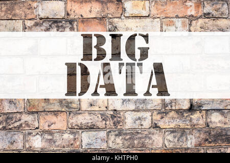 Légende de l'annonce conceptuelle illustrant le Big Data. Concept commercial pour Storage Network Online Server écrit sur fond de briques anciennes Banque D'Images