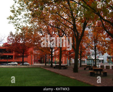 Syracuse, New York, USA 18 novembre 2017.. petit parc sur Clinton Street dans le centre-ville de Syracuse, New York sous un ciel couvert, pluvieux matin de novembre Banque D'Images