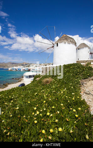 Un windmuehlen der kueste, dahinter klein venedig, moulins à vent à l'autre, derrière la petite Venise, à Mykonos Town, l'île de Mykonos, Cyclades, Mer Égée, Grèce Banque D'Images