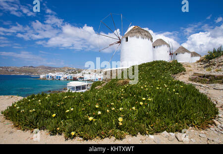 Un windmuehlen der kueste, dahinter klein venedig, moulins à vent à l'autre, derrière la petite Venise, à Mykonos Town, l'île de Mykonos, Cyclades, Mer Égée, Grèce Banque D'Images