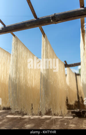 Le séchage des pâtes de riz maison sur sun au Myanmar. Banque D'Images