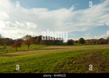 Vue panoramique sur la colline du Parlement, champs et prairies, Hampstead Heath avec des couleurs automnales et de longues ombres d'un après-midi ensoleillé. Banque D'Images