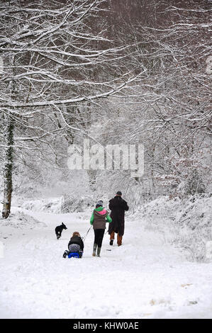 Une famille profiter de la neige d'une forêt couverte de Stoke Park woods Bishopstoke, Hampshire, Angleterre. Banque D'Images