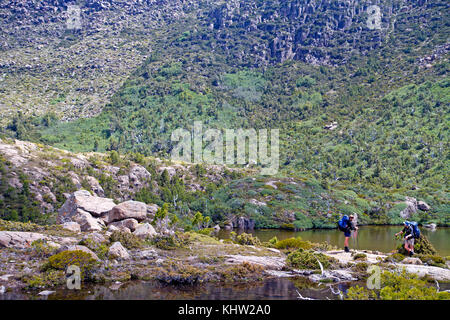 Randonneurs sur le Tarn shelf en mt field national park Banque D'Images