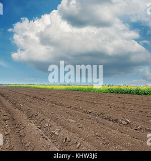 Nuages bas et noir domaine agricole Banque D'Images