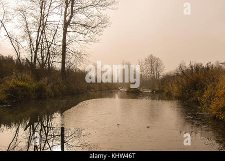 Paysage de fin d'automne, rivière calme couvert de glace d'abord, dans l'arrière-plan des arbres dans le brouillard Banque D'Images