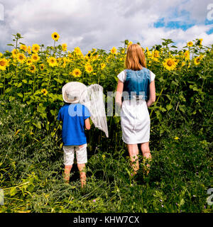 La mère et le fils debout dans déposée de tournesols, son holding butterfly net, vue arrière, de Sverdlovsk, en Russie, en europe Banque D'Images