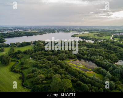 Pennington Comté Flash Park et réserve naturelle à Leigh, Greater Manchester, Angleterre, RU Banque D'Images