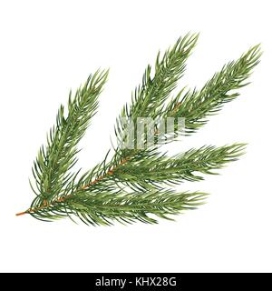 Branches de sapin isolé sur fond blanc. arbre de Noël. vector illustration. Illustration de Vecteur