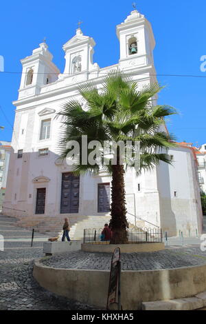 Lisbonne, Portugal - 5 novembre, 2017 : l'église de São Miguel dans alfama quartier avec un palmier et une chaussée pavée à l'avant-plan Banque D'Images