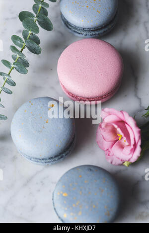 Macarons macaron Pastel ou sur table en marbre avec des fleurs roses. La pâtisserie française. Selective focus Banque D'Images