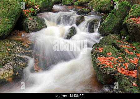 Rapides sur jedlova Creek à l'automne, les montagnes Jizera, République tchèque Banque D'Images