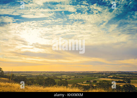 Barossa Valley vu de Mengler Hill Lookout, dans le sud de l'Australie Banque D'Images