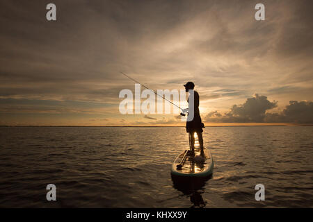 Homme debout sur paddle board, sur l'eau, au coucher du soleil, tenant la canne à pêche Banque D'Images