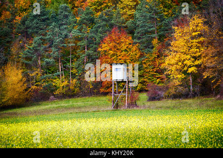Cabane des chasseurs en bois en face de la forêt colorée à l'automne Banque D'Images