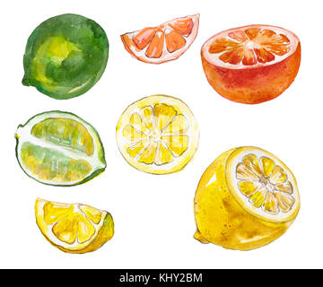 Fruits aquarelle isolated on white Banque D'Images