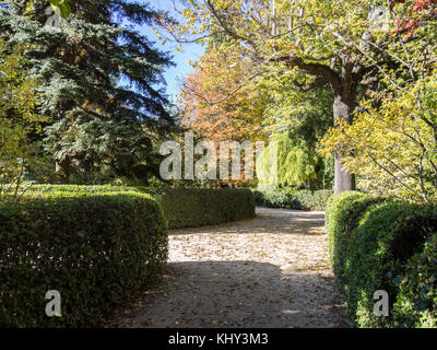 Jardin botanique royal de Madrid, Espagne.. Banque D'Images