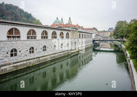 Marché central vu du pont Dragon dans la vieille ville de Ljubljana. Ljubljana date du XIIe siècle et est la capitale de la Slovénie. Banque D'Images