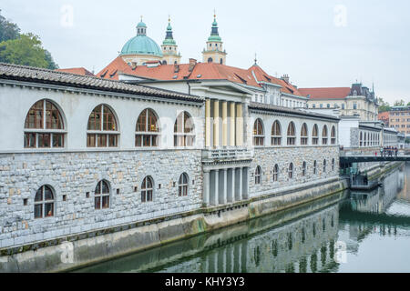 Marché central vu de dragon bridge dans la vieille ville de Ljubljana. ljubljana date du 12ème siècle et est la capitale de la slovénie. Banque D'Images