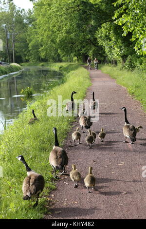 Canal delaware state park chemin de halage, New Hope, PA, USA Banque D'Images