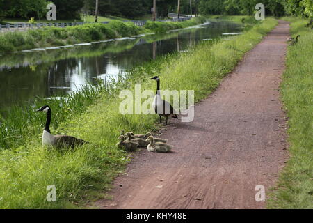 Canal delaware state park chemin de halage, New Hope, PA, USA Banque D'Images