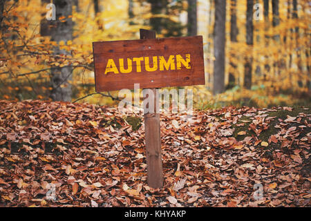Image d'automne route signe sur la forêt. Banque D'Images