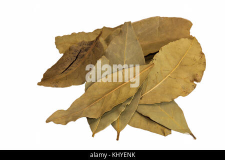 Les feuilles de laurier séchées isolé sur fond blanc Banque D'Images