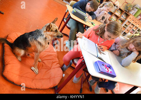 Lana (l), 9 ans, lit un livre à Rudi, chien scolaire à l'école primaire Heide de Bad Dueben, Allemagne, le 24 octobre 2017. Le chien mâle de race mixte de deux ans qui a été dressé comme chien d'école est accepté par les enfants comme «pédagogue assistant» et appartient à leur professeur de classe Kristin Gessner. Jusqu'à trois fois par semaine Rudi participe à la classe et contribue à une meilleure ambiance. Dans le cadre de la pédagogie soutenue par les animaux, plusieurs centaines de chiens d'école se trouvent dans les écoles allemandes. Photo : Waltraud Grubitzsch/dpa-Zentralbild/ZB Banque D'Images