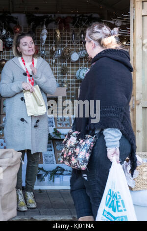 Salisbury, Royaume-Uni. 23 Nov, 2017. Salisbury Marchés de Noël s'ouvre sur un un début lent. Paul Chambers Crédit : © Paul Chambers/Alamy Stock Photo/Alamy Live News Banque D'Images