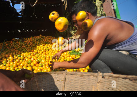 Agartala (Inde). 19 nov, 2017. juteuse des oranges de jampui Hills au nord de Tripura arrivent dans le marché d'Agartala. des oranges de Tripura étaient célèbres à ralentir la production quelques années. Le gouvernement de l'état présenté au festival d'orange pour encourager cultuvation de l'agrume après jampui oranges étaient parmi les meilleurs dans le cadre d'un concours organisé à New Delhi dans les années 80. Par pix-crédit : saha abishai saha abishai/pacific press/Alamy live news Banque D'Images