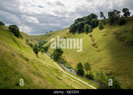 Journée d'été à Beresford Dale près de Hartington dans le Peak District National Park, Angleterre. Banque D'Images