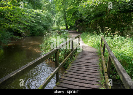 Pont sur la rivière dove à Beresford dale près de Hartington, Peak District, en Angleterre. Banque D'Images