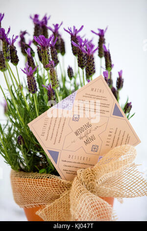 Close up of menu de mariage dans la région de lavender plant pot, still life Banque D'Images