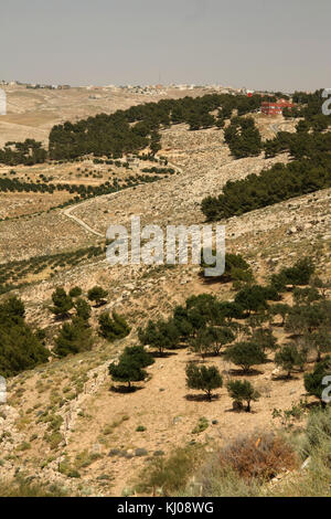 Vallée de printemps de Moïse (wadi ayun musa), vue depuis le mont Nébo. La vallée s'étend perpendiculairement à la vallée du Jourdain. Moïse fut enterré à proximité Banque D'Images