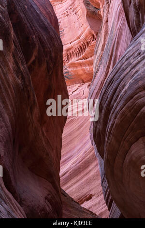 L'exploration de Peek-A-Boo slot canyon, près de Kanab, Utah Banque D'Images