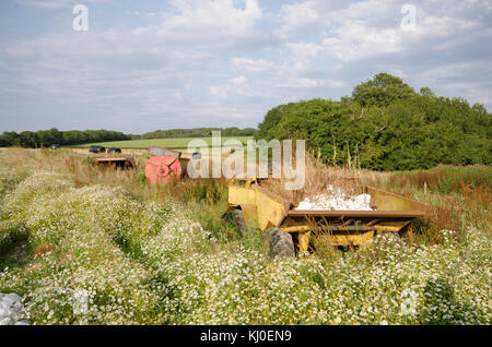 Les photographies prises sur l'île de Wight, surtout ferme et chalets. Banque D'Images