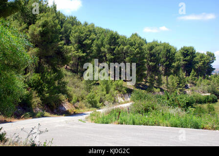Une étude géographique ou une ressource sur Israël, détaillant les caractéristiques physiques, le climat et la géographie régionale du pays. Banque D'Images