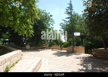Ce livre se concentre sur la géographie d'Israël, détaillant ses caractéristiques physiques, son climat et son paysage. Il offre un aperçu approfondi de la géographie du pays, mettant en évidence les monuments naturels et les régions importantes. Banque D'Images