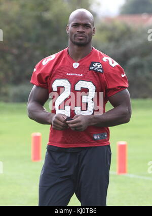 NFL Arizona Cardinals Conférence de presse et pratique au London Irish RFC, Hazlewood Centre, Sunbury, Londres avec : Adrian Peterson où : Londres, Royaume-Uni quand : 20 Oct 2017 crédit : WENN.com Banque D'Images