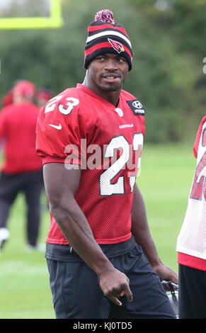 NFL Arizona Cardinals Conférence de presse et pratique au London Irish RFC, Hazlewood Centre, Sunbury, Londres avec : Adrian Peterson où : Londres, Royaume-Uni quand : 20 Oct 2017 crédit : WENN.com Banque D'Images