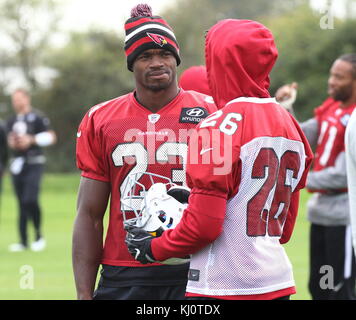 NFL Arizona Cardinals Conférence de presse et pratique au London Irish RFC, Hazlewood Centre, Sunbury, Londres avec : Adrian Peterson où : Londres, Royaume-Uni quand : 20 Oct 2017 crédit : WENN.com Banque D'Images